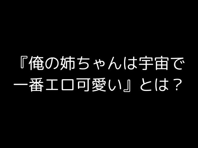 『俺の姉ちゃんは宇宙で一番エロ可愛い』とは？